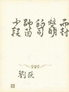 少帅的双面宠妻段茵司明封免费