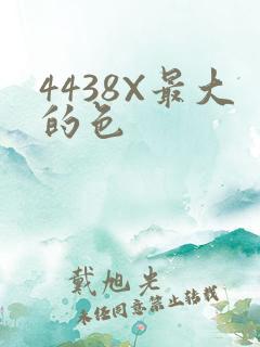 4438X最大的色