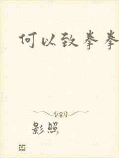 何以致拳拳番外