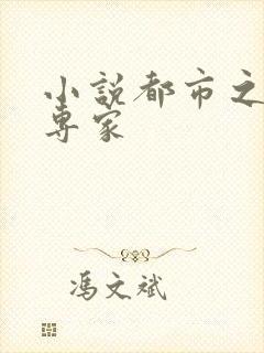 小说都市之军火专家