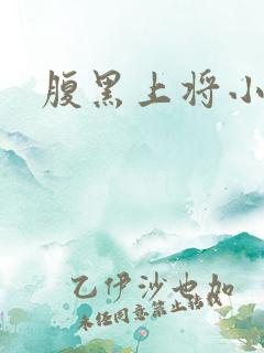 腹黑上将小小妻