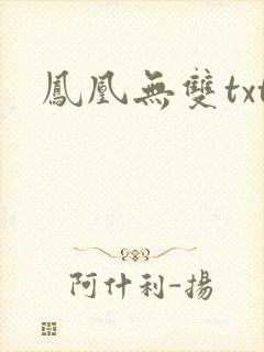 凤凰无双txt