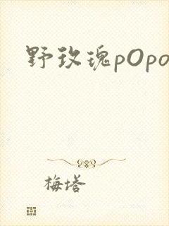 野玫瑰pOpo