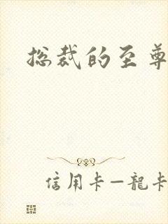 总裁的至尊前妻