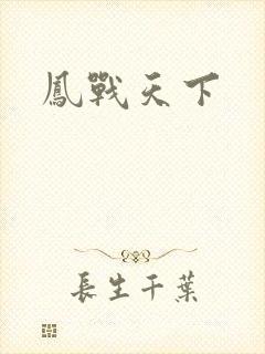凤战天下