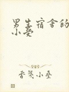 男生宿舍的公共小受