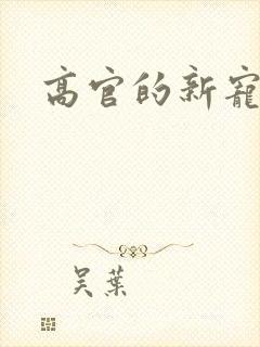 高官的新宠