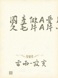 国产做A爱片久久毛片A片小说