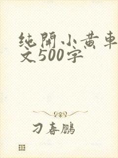 纯开小黄车小短文500字