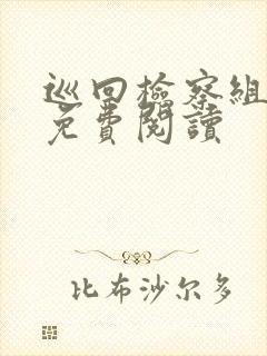 巡回检察组小说免费阅读