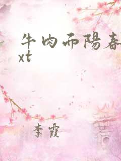 牛肉面阳春面txt