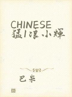 CHINESE猛1浪小辉