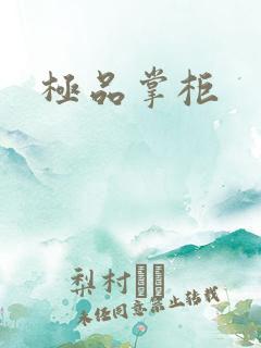 极品掌柜