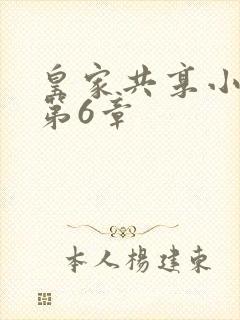 皇家共享小公主第6章