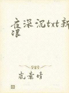 夜深沉txt新浪