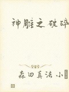 神雕之破碎之旅