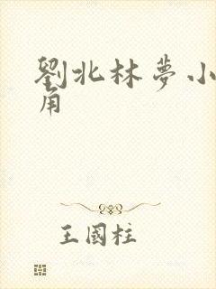 刘北林梦小说主角