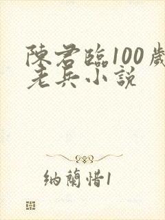 陈君临100岁老兵小说