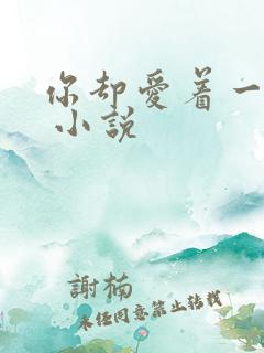 你却爱着一个他 小说