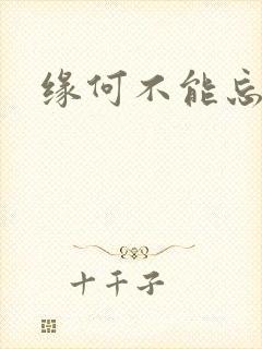 缘何不能忘记你