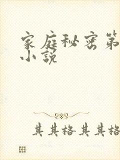 家庭秘密第3集小说