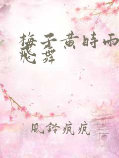 梅子黄时雨流光飞舞