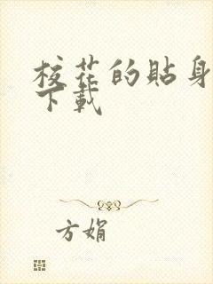 校花的贴身保镖下载