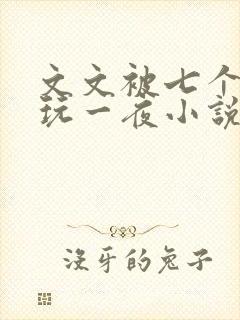 文文被七个男人玩一夜小说