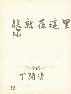 朕就在这里要了你