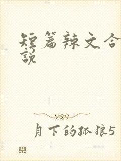 短篇辣文合集小说