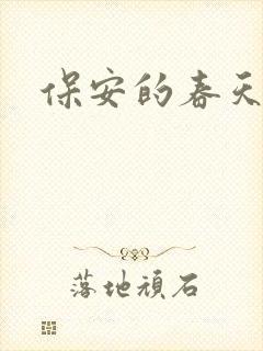 保安的春天