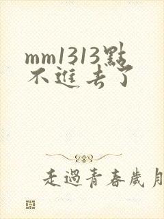 mm1313点不进去了