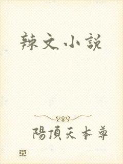 辣文小说