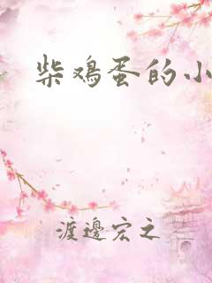 柴鸡蛋的小说