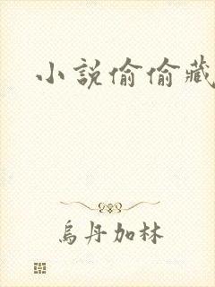 小说偷偷藏不住