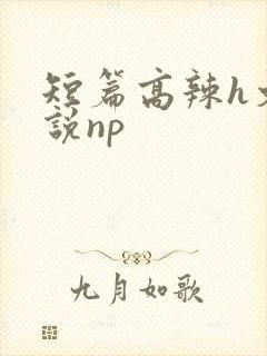 短篇高辣h文小说np