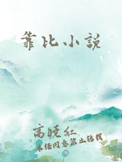 靠比小说