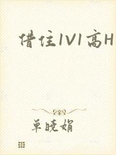 借住1V1高H