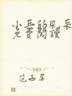 小兵的风采小说免费阅读