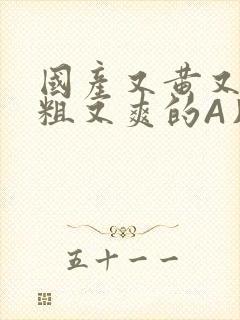 国产又黄又猛又粗又爽的A片小说