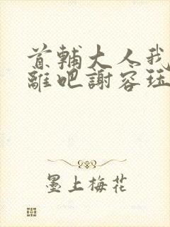 首辅大人我们和离吧谢容珏