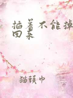 插着不能掉等我回来