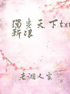 独步天下txt新浪