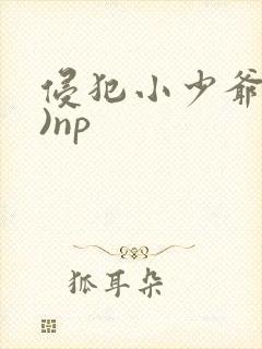 侵犯小少爷(H)np