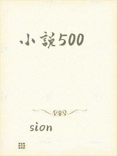 小说500