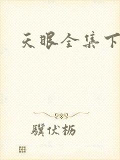 天眼全集下载