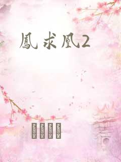 凤求凰2