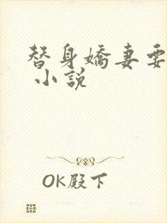 替身娇妻要离婚 小说