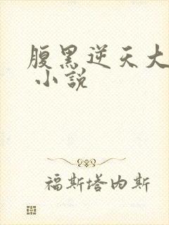 腹黑逆天大小姐 小说