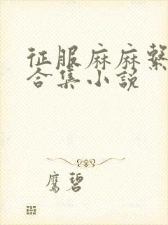 征服麻麻系列大合集小说